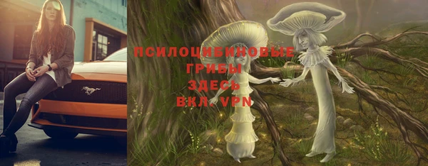 дживик Алексеевка