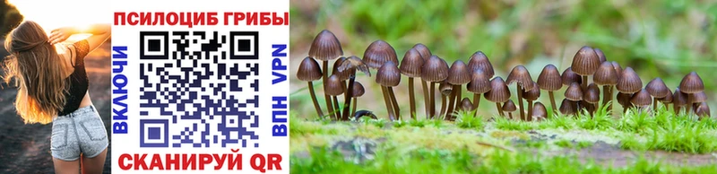 Галлюциногенные грибы Magic Shrooms kraken вход Сунжа закладки