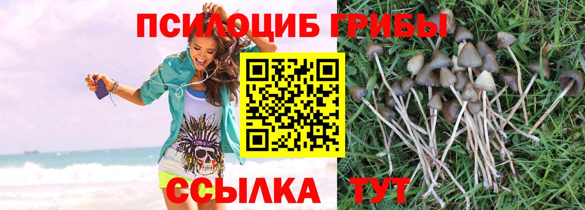 Псилоцибиновые грибы ЛСД Сунжа